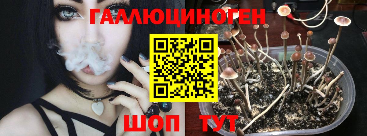 Псилоцибиновые грибы ЛСД Кандалакша